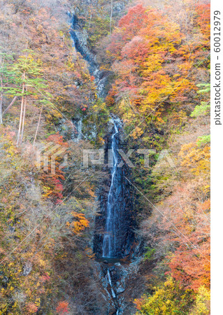 Azuma Valley Fudo waterfall in autumn colors Azuma Valley Fudo waterfall in autumn colors 60012979