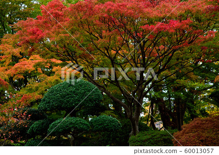 千秋公園花園(秋田縣) 千秋公園花園(秋田縣) 60013057