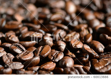 Sesame beans Brazil 60013666