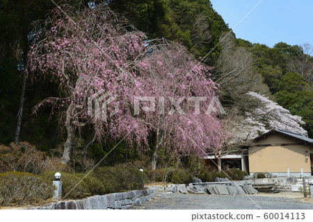 I went to Sashiroyama Roku Park # 24 I went to Sashiroyama Roku Park # 24 60014113