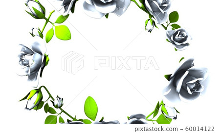 rose, flower, flowers 60014122