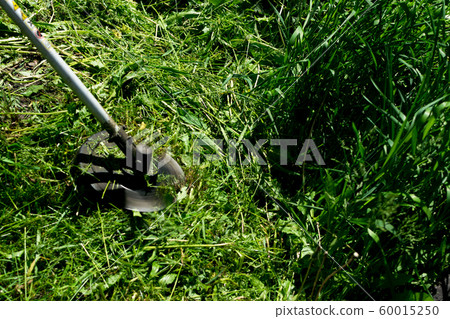 Grass mowing with old gasoline lawn mower. 60015250