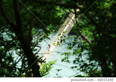 Southern Alps Sumata Gorge landscape with dream suspension bridge 60015298