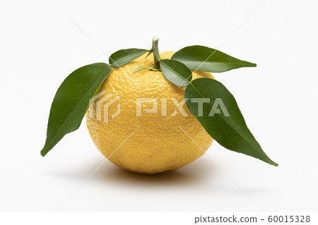 Yuzu 60015328