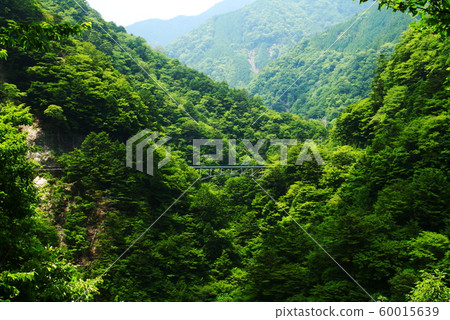 南部的阿爾卑斯山，須田峽谷景觀與裕龍橋 60015639