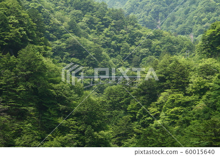 南部的阿爾卑斯山，須田峽谷景觀與裕龍橋 60015640