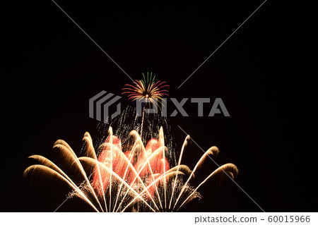 煙花甲子園2019蒲郡 60015966