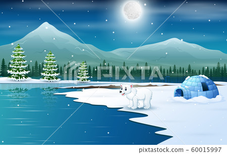 Scene a polar bear and igloo in a winter night 60015997