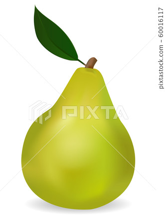 Green pear 60016117