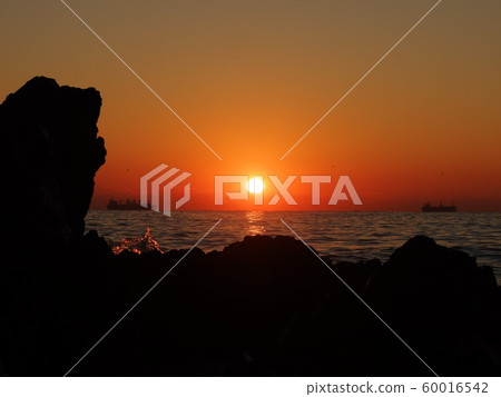 Shining sunrise Shining sunrise 60016542