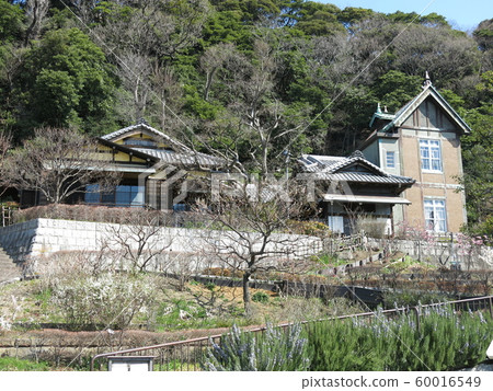 Negishi Natsukashi Park前Yanagishita House 60016549