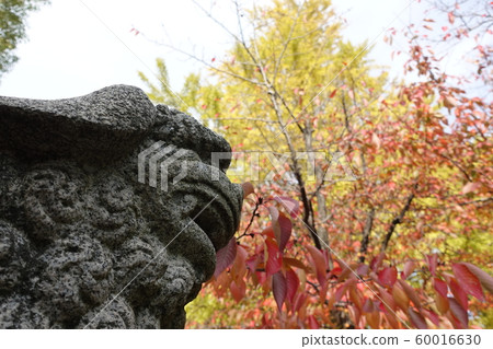 Ginkgo 2019 60016630