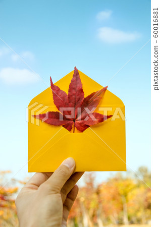 秋季新聞 秋季新聞 60016881