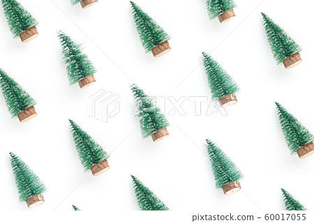 minimal composition pattern background of green christmas tree isolated on white background 60017055