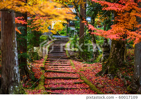 [京都府]龍源寺 60017109