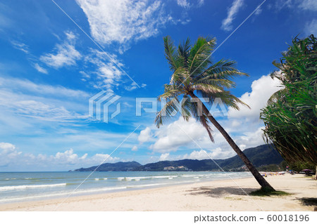 nature view of nice tropical summer beach with palms around in Patong, Phuket island, Thailand. holiday and vacation for summer season concept. beautiful tropical beach. beach with blue sky background 60018196