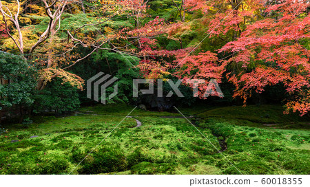 Authority Rurikoin 60018355