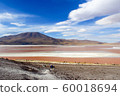 Amazing view of Bolivia 60018694
