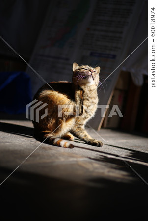 Legs reach the ugly place 60018974