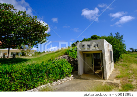 沖繩縣/南大東/星野洞穴 沖繩縣/南大東/星野洞穴 60018992