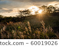 高柏地高原朝日 60019026
