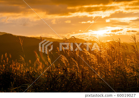 高柏地高原Subotuki 60019027