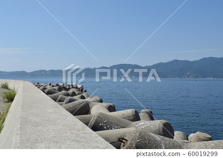 South Island South Island 60019299