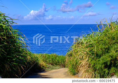 沖繩滑雪場/南大東/鹽谷池 沖繩滑雪場/南大東/鹽谷池 60019475