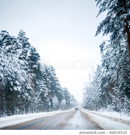 Photo of winter road with trees in snow Photo of winter road with trees in snow 60019520
