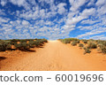 American Horseshoe Bend 60019696