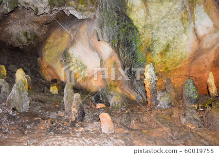 三山石灰岩洞穴（岐阜縣） 60019758