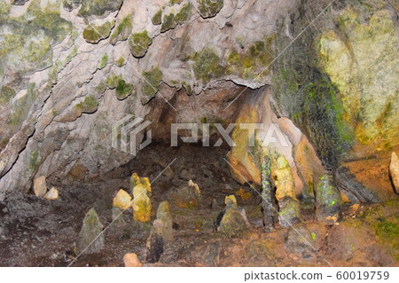 三山石灰岩洞穴（岐阜縣） 60019759