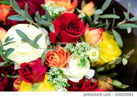 Various kinds of flowers 60020081