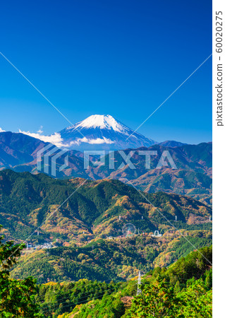 東京高尾山的霧島台的富士山 東京高尾山的霧島台的富士山 60020275