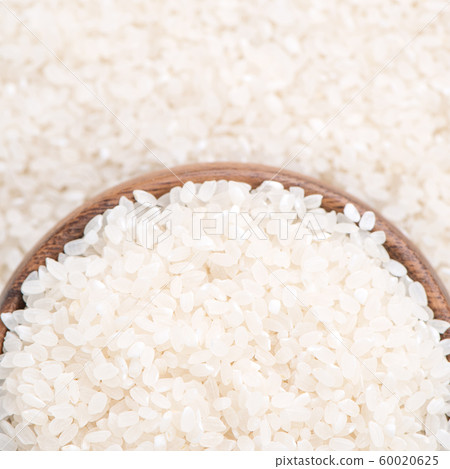 Rice white rice grain rice rice raw Raw rice crop glutinous rice risotto Rice white rice grain rice rice raw Raw rice crop glutinous rice risotto 60020625