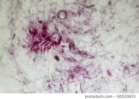 An artful colorful background with bubbles.  60020655