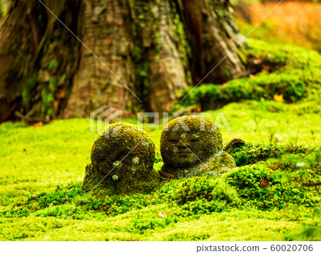 秋天京都Sanzenin Warabe Jizo 60020706