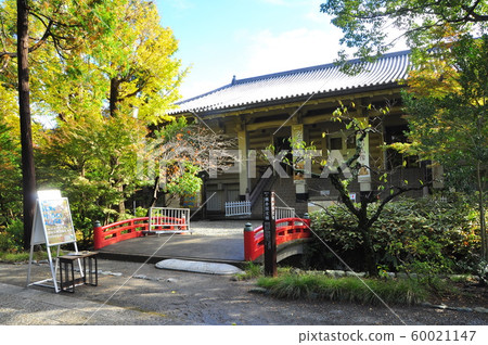 鶴岡八scape宮的鎌倉市景鎌倉國寶博物館 鶴岡八scape宮的鎌倉市景鎌倉國寶博物館 60021147
