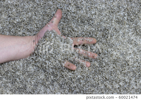 Hand on background of recycled plastic granules Hand on background of recycled plastic granules 60021474