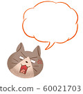 Angry cat Angry cat 60021703