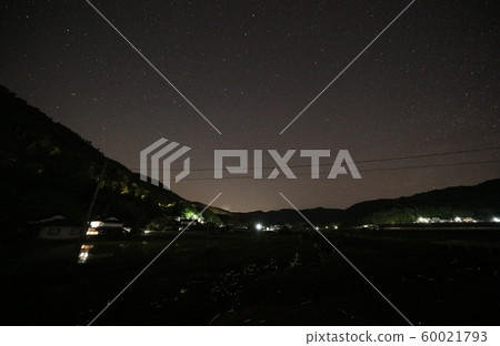 Firefly and stars Firefly and stars 60021793