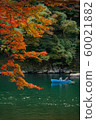 Autumn leaves 60021882