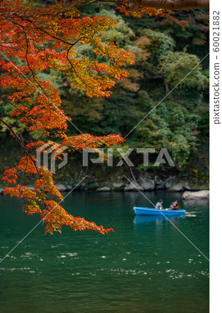 Autumn leaves Autumn leaves 60021882