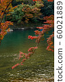 Autumn leaves 60021889