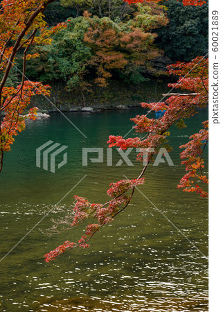 Autumn leaves Autumn leaves 60021889