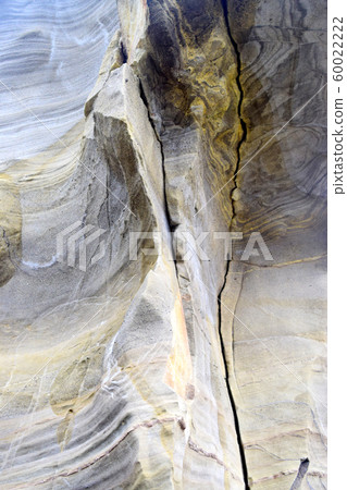 惠比壽島（靜岡縣） 60022222