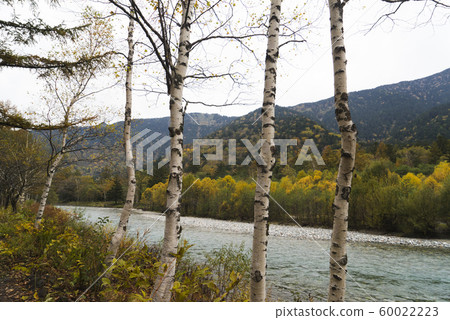 日本長野國立公園上高地河童橋景色 60022223