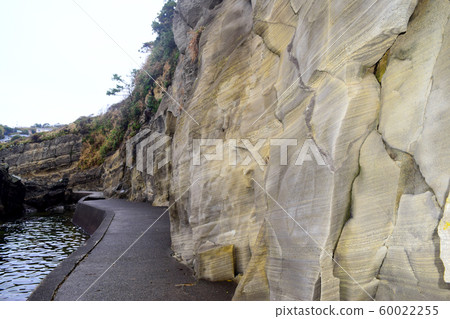 惠比壽島（靜岡縣） 60022255