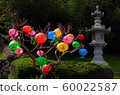 Lantern 60022587