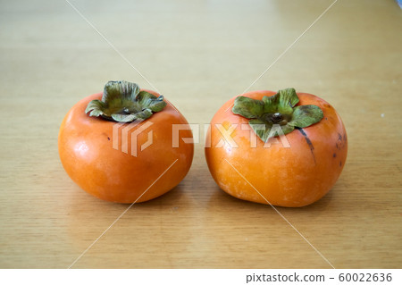 柿/二/對角線 柿/二/對角線 60022636